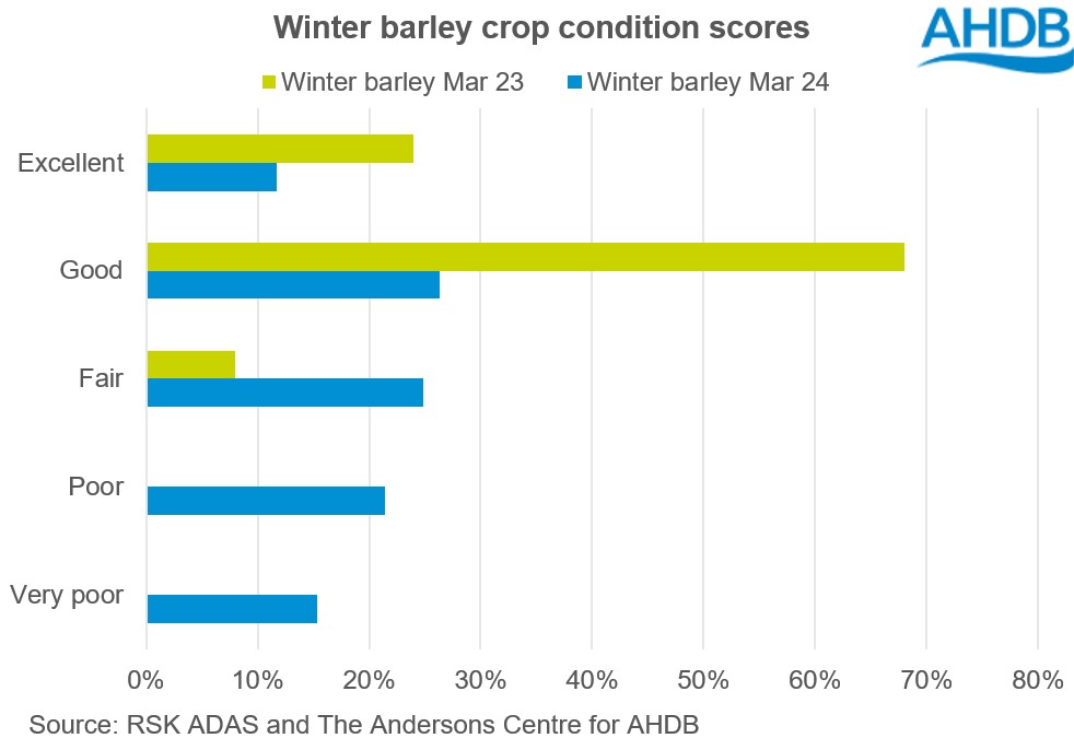 Chart showing winter barley crop condtion scores as of March 2024